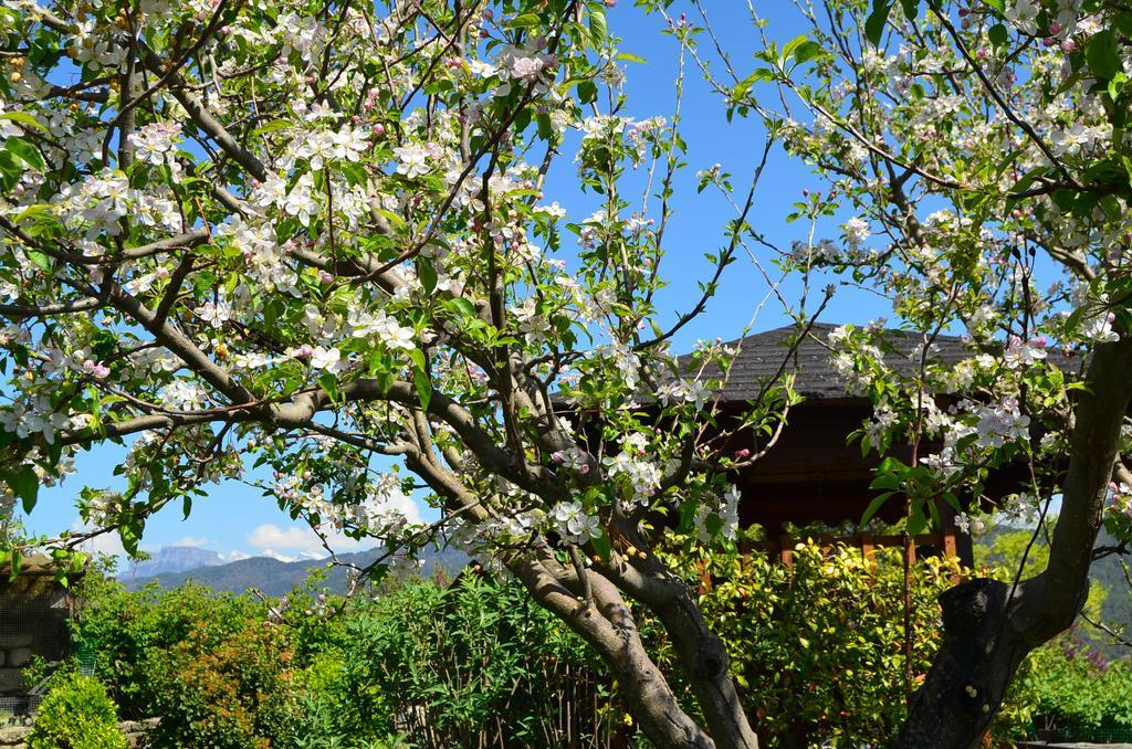 Casa Rural La Era Sieste Extérieur photo